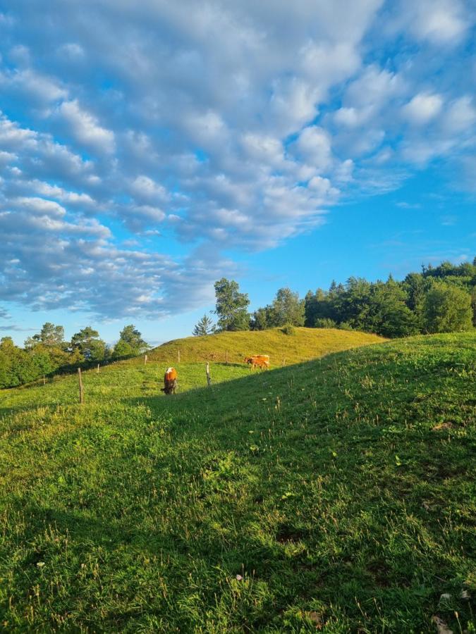 Apartma Ana In Manca Begunje na Gorenjskem Luaran gambar