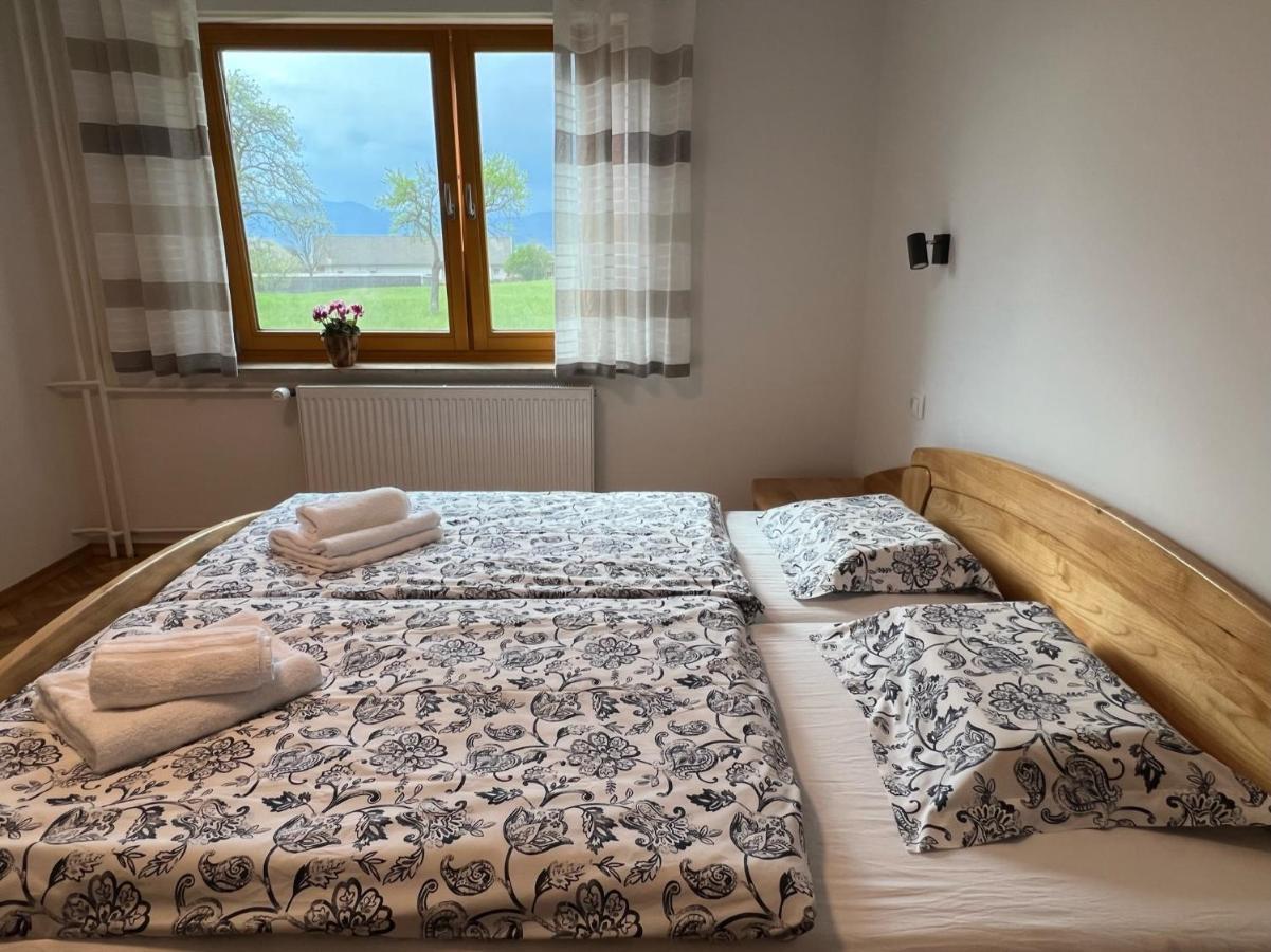 Apartma Ana In Manca Begunje na Gorenjskem Luaran gambar