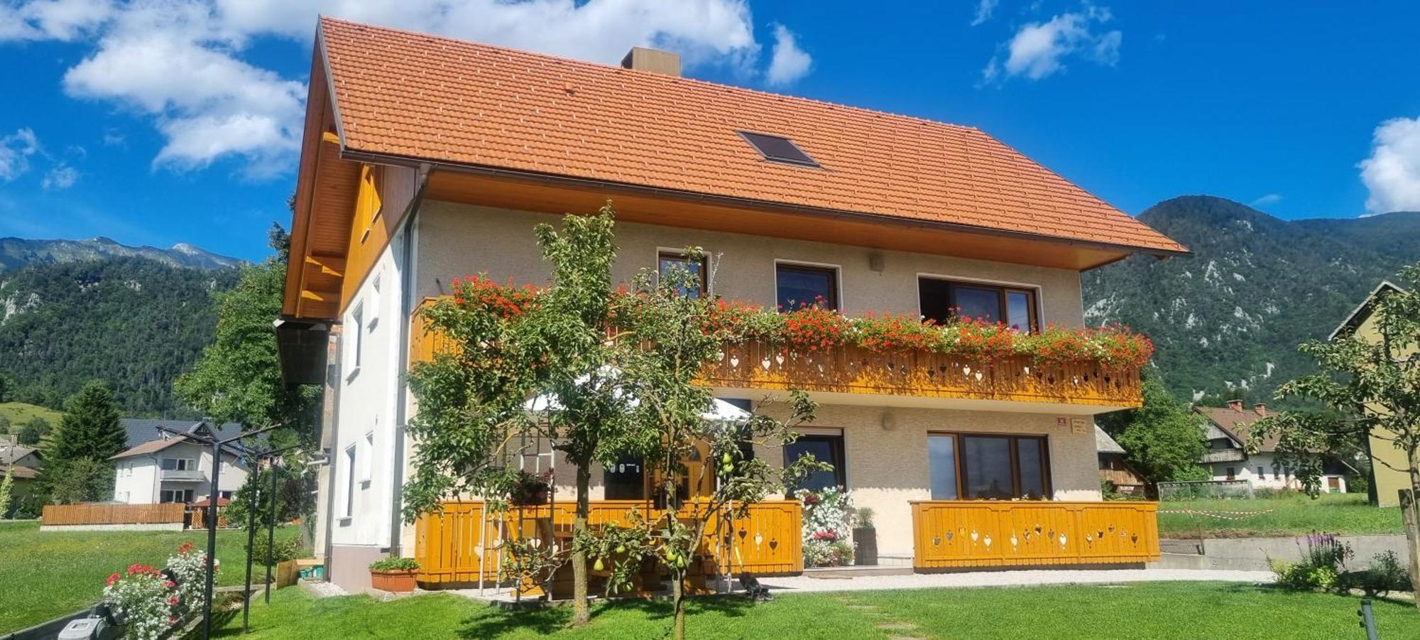 Apartma Ana In Manca Begunje na Gorenjskem Luaran gambar